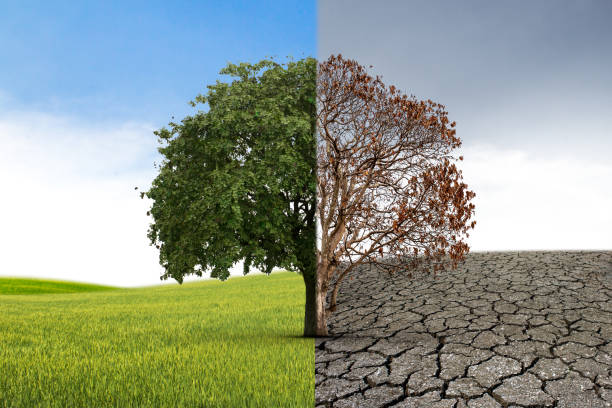 Climate and Disaster Resilience